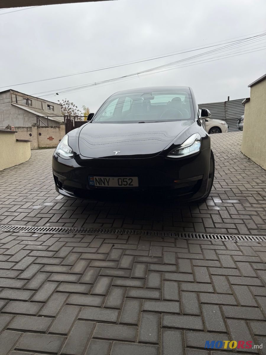 2020' Tesla Model 3 photo #1