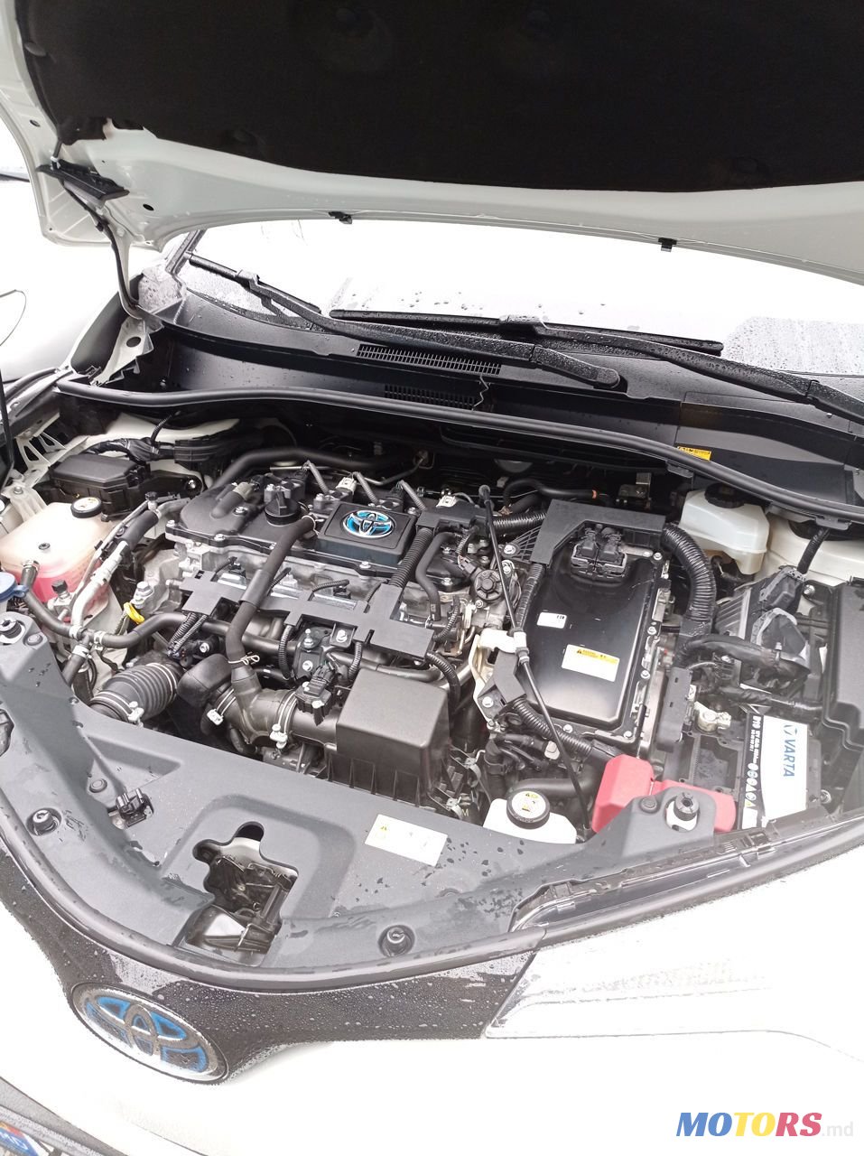 2018' Toyota C-HR photo #5