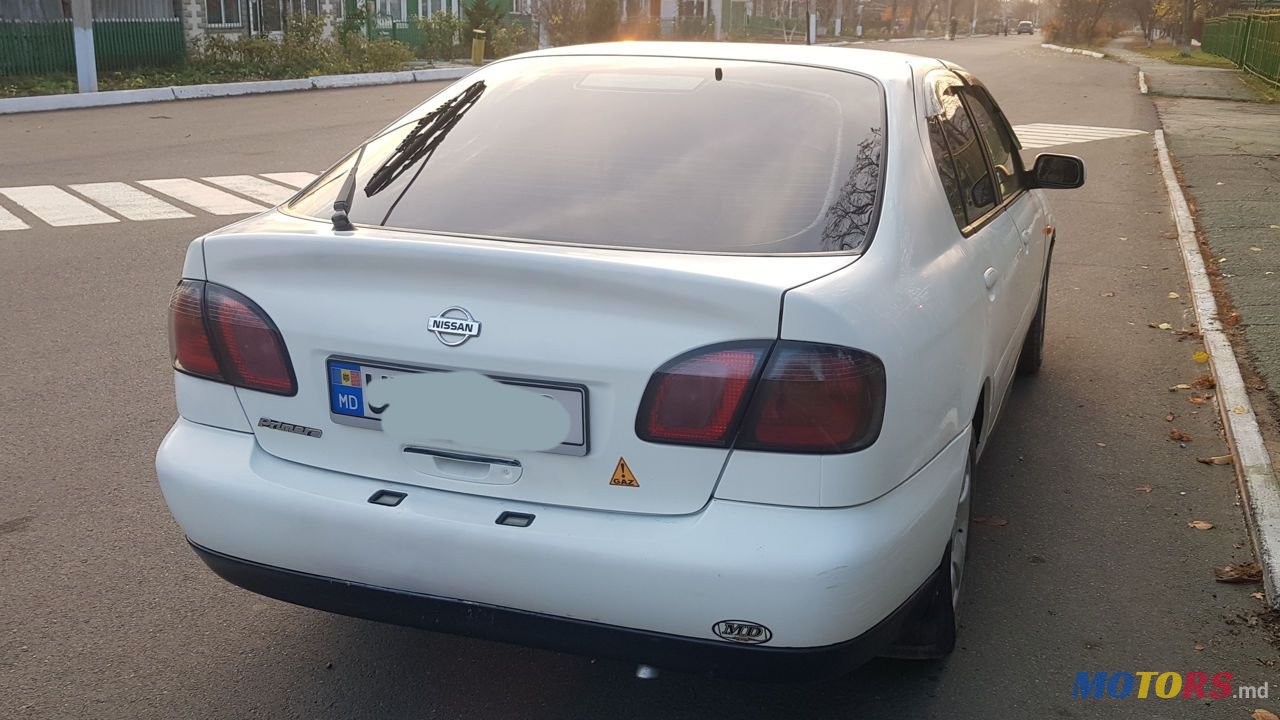 2001' Nissan Primera photo #6