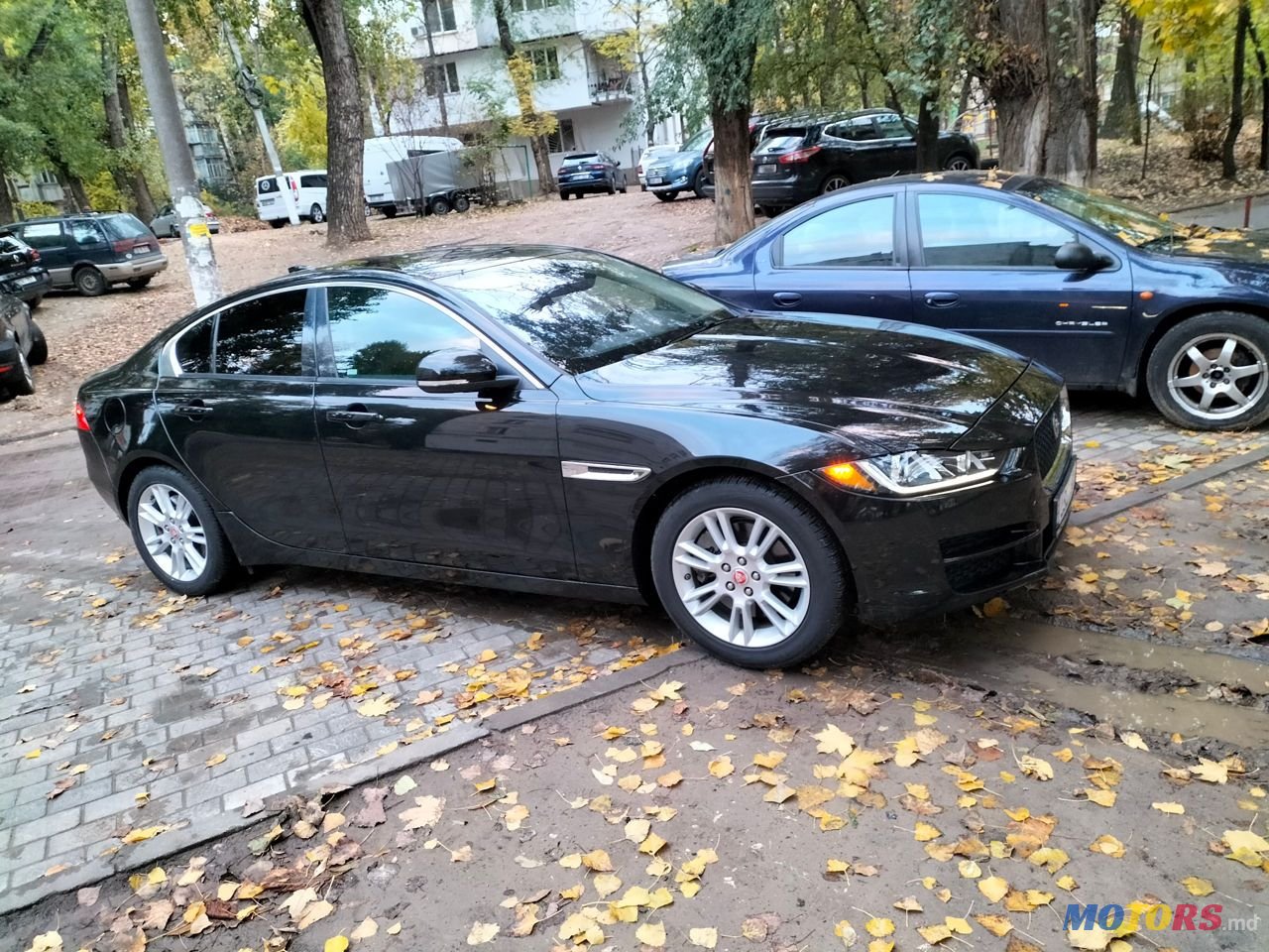 2016' Jaguar XE photo #5