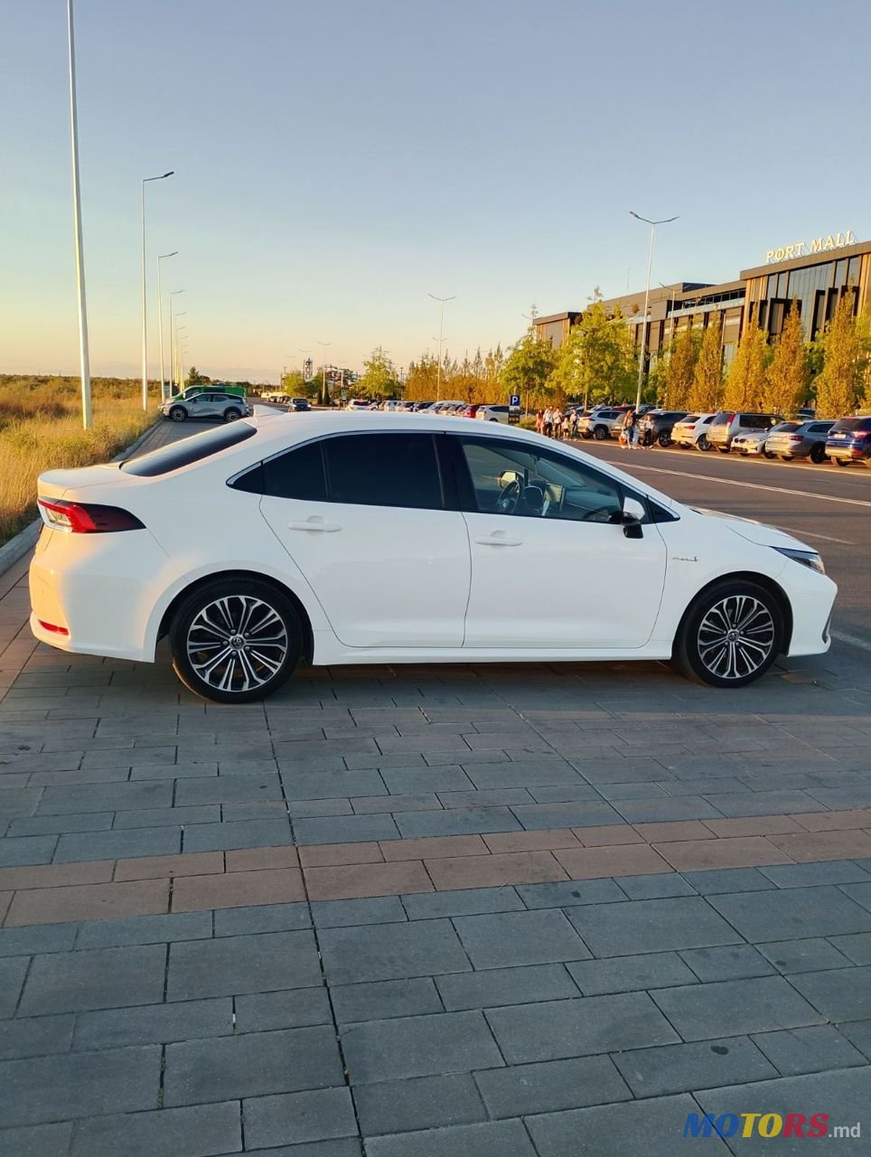 2019' Toyota Corolla photo #1