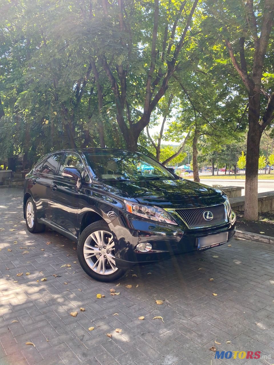 2010' Lexus Rx Series photo #1