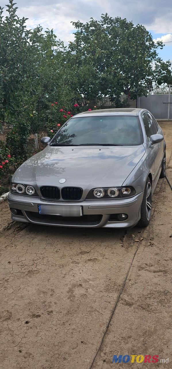 2001' BMW 5 Series photo #1