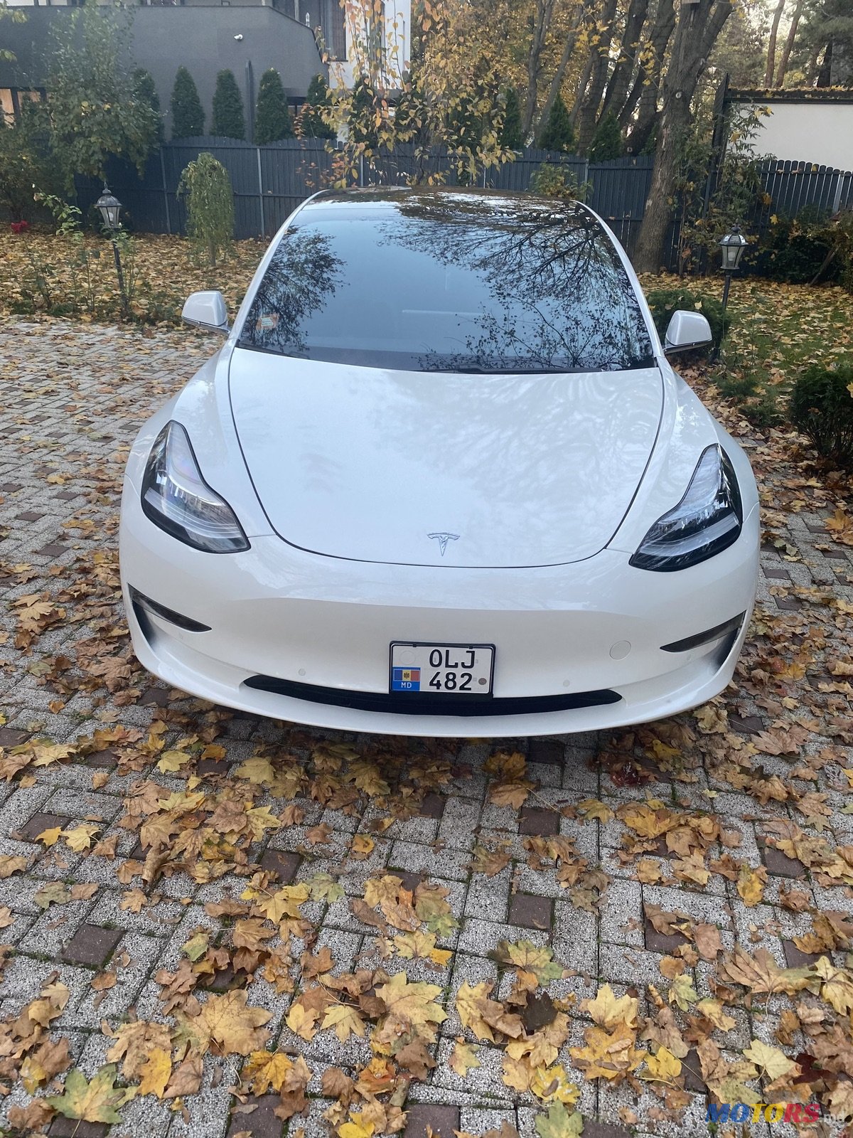 2019' Tesla Model 3 photo #1