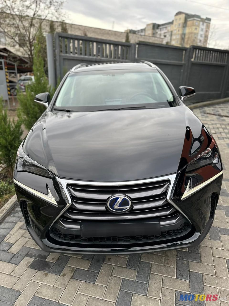 2014' Lexus Nx Series photo #1