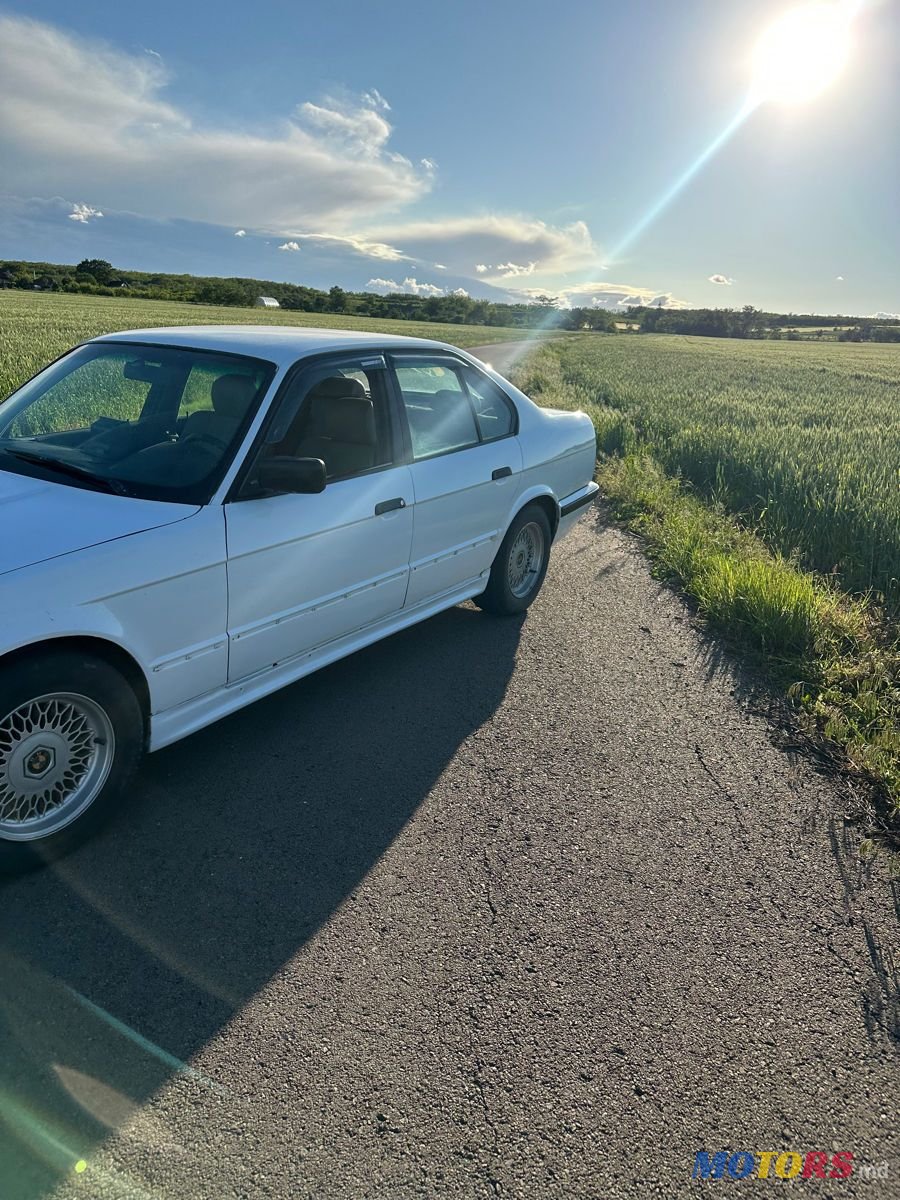 1995' BMW 5 Series photo #3