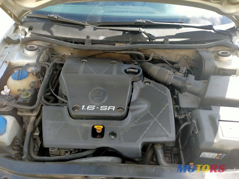 2006' Skoda Octavia photo #5