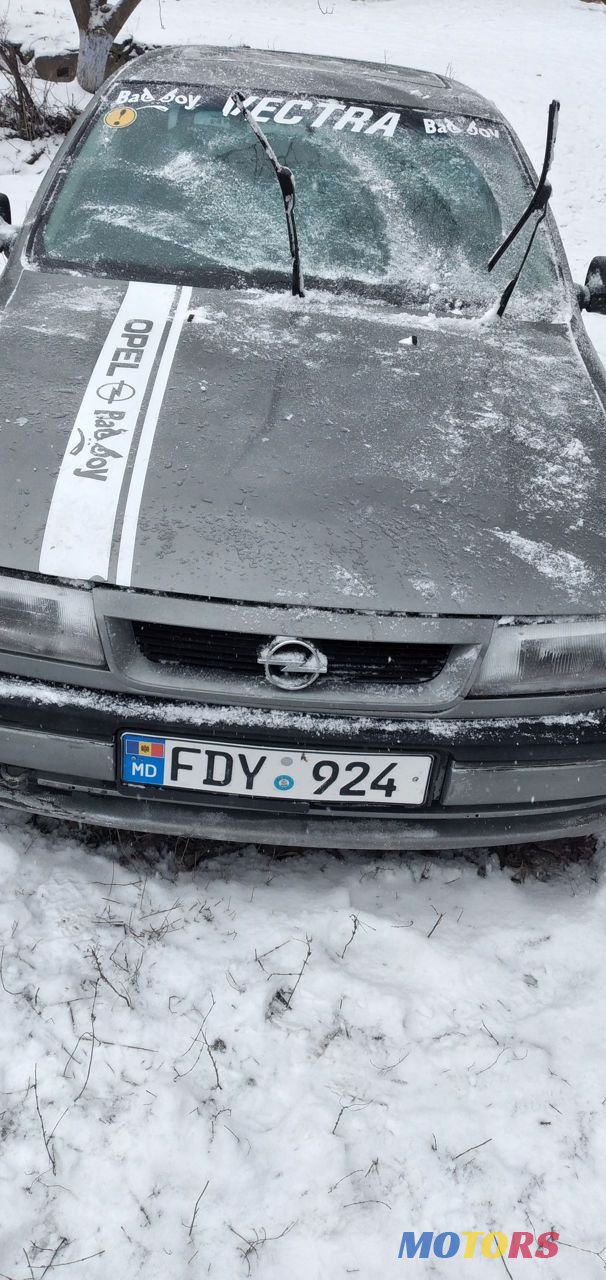 1993' Opel Vectra photo #2