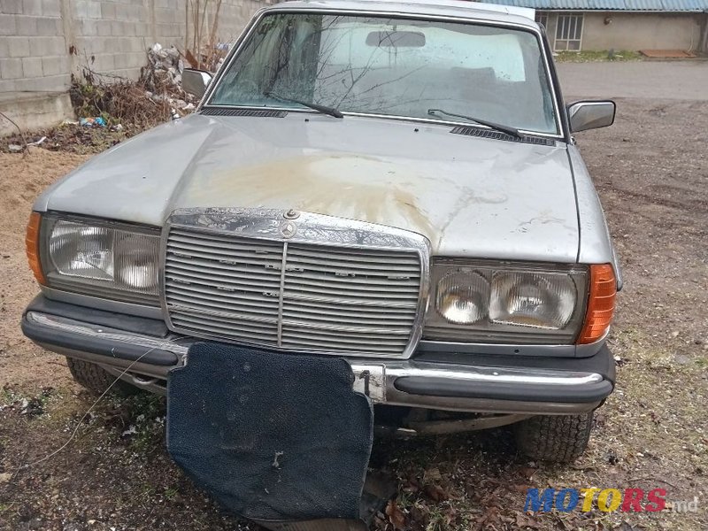 1981' Mercedes-Benz W123 photo #6