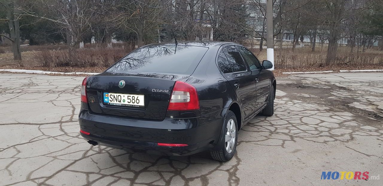 2010' Skoda Octavia photo #3