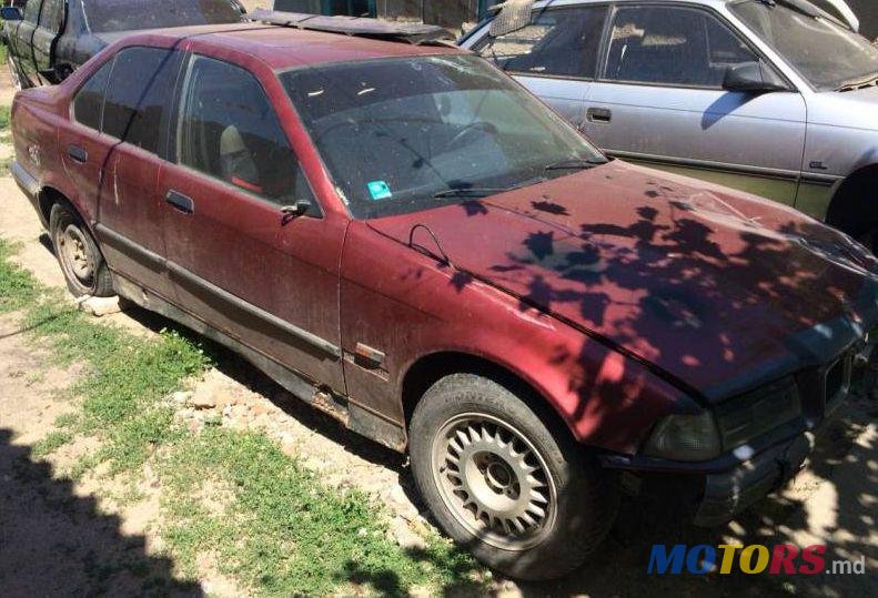 1995' BMW 3 photo #1