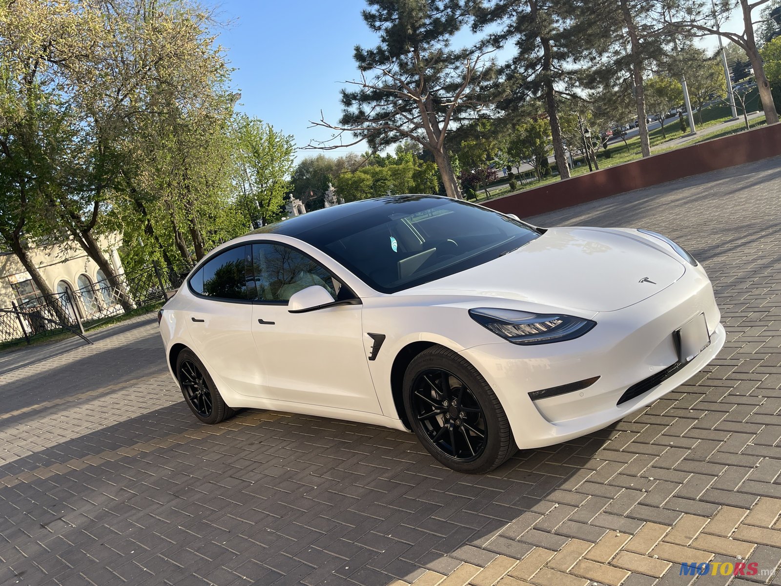 2020' Tesla Model 3 photo #3