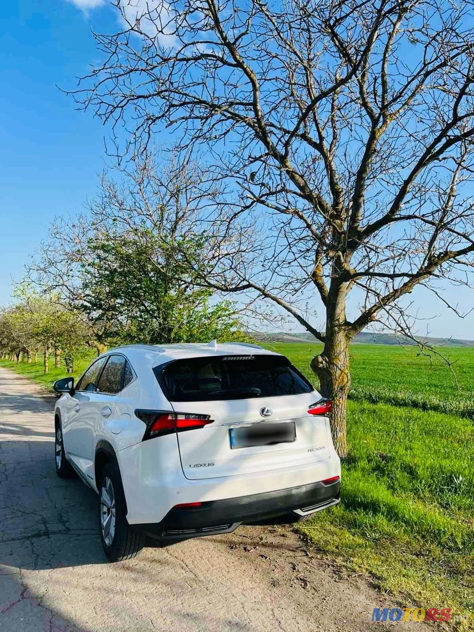 2015' Lexus Nx Series photo #2