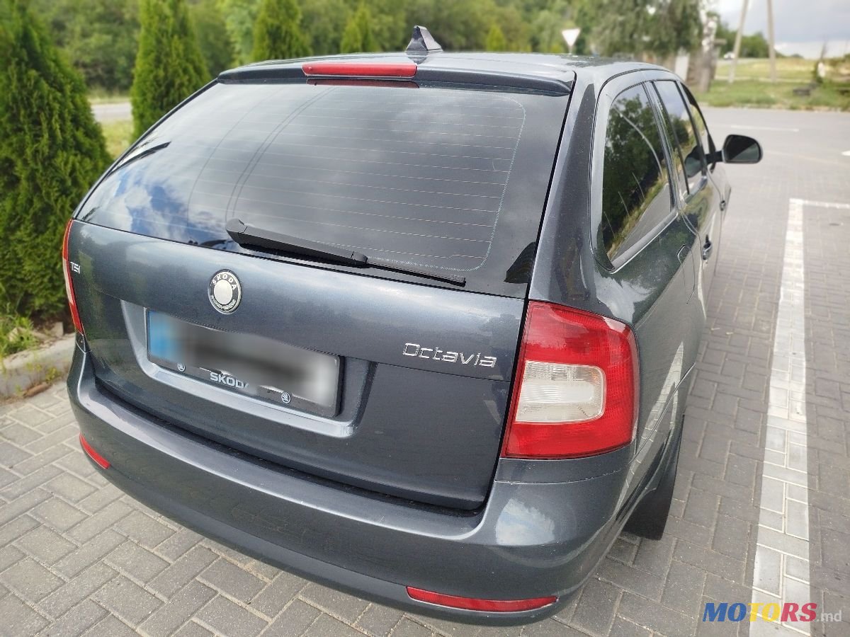 2009' Skoda Octavia photo #3