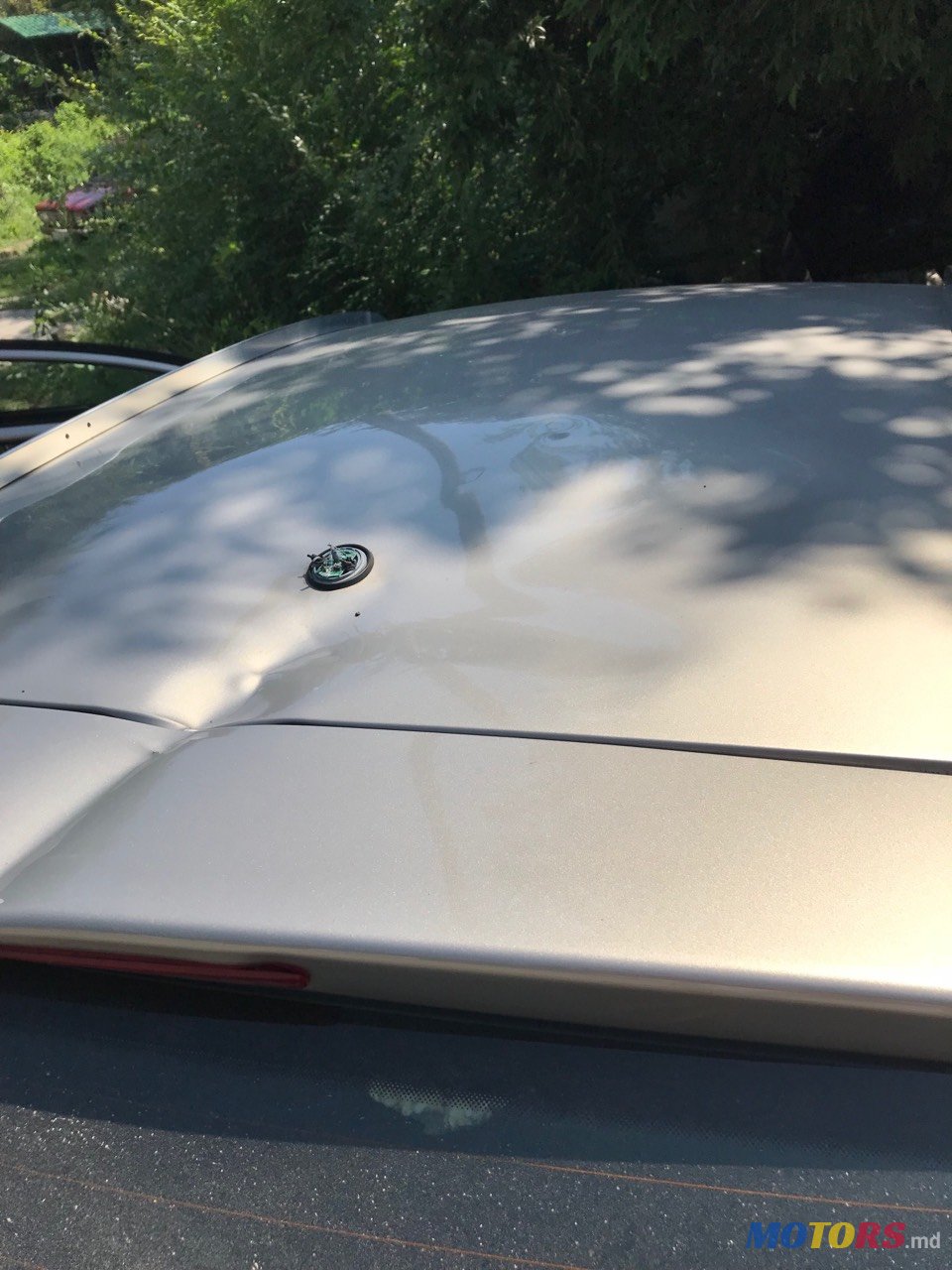 2011' SEAT Ibiza photo #7