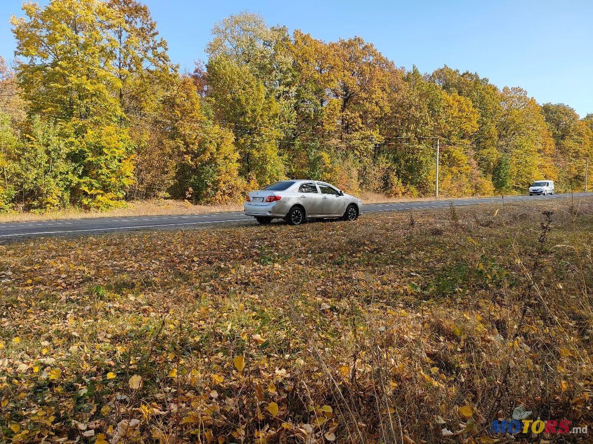 2008' Toyota Corolla photo #2