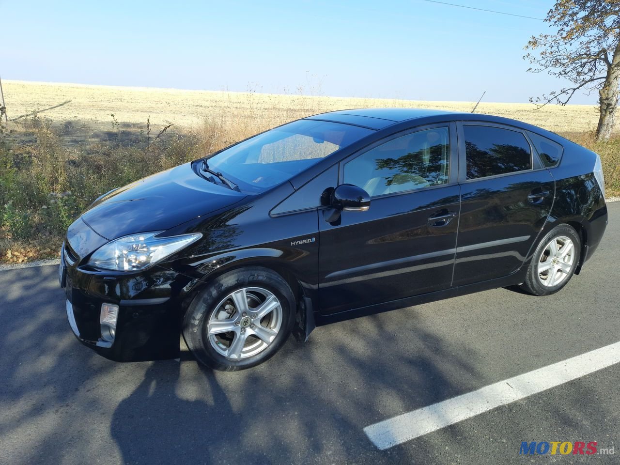 2010' Toyota Prius photo #2