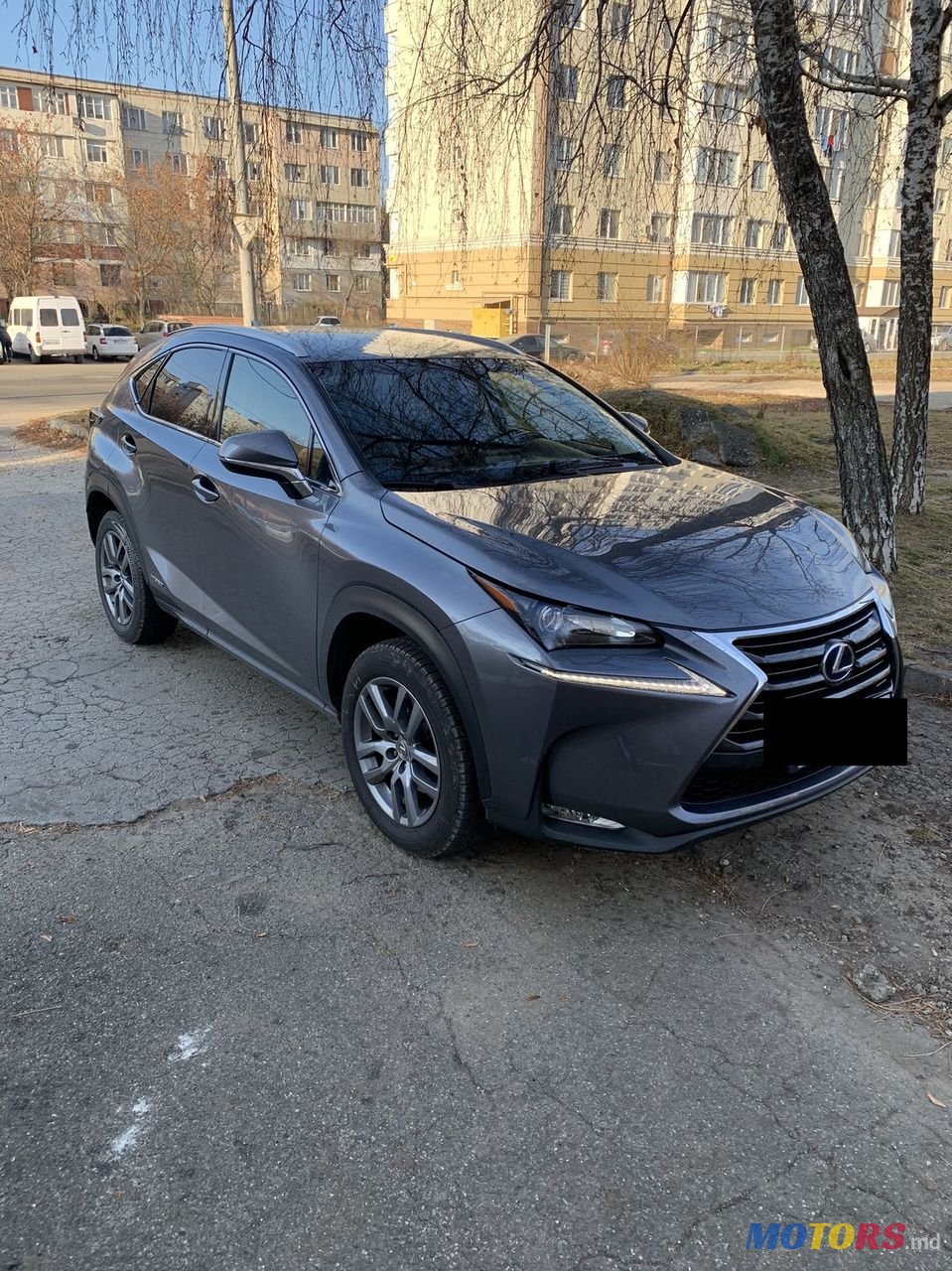 2015' Lexus Nx Series photo #1