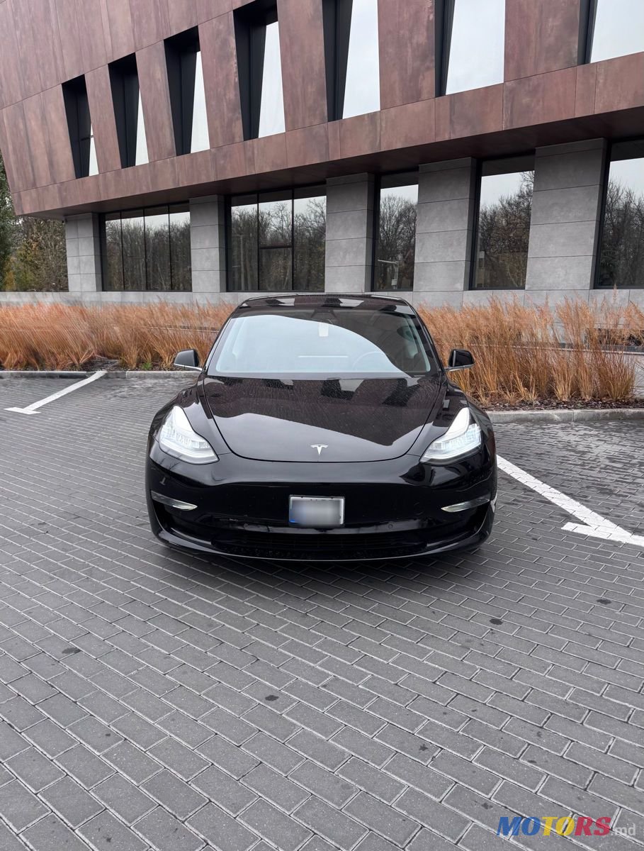 2019' Tesla Model 3 photo #3
