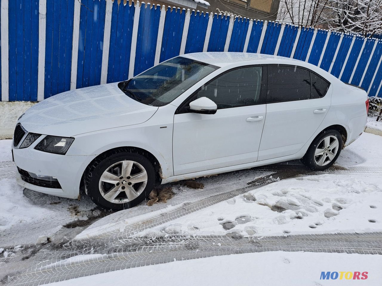 2019' Skoda Octavia photo #5