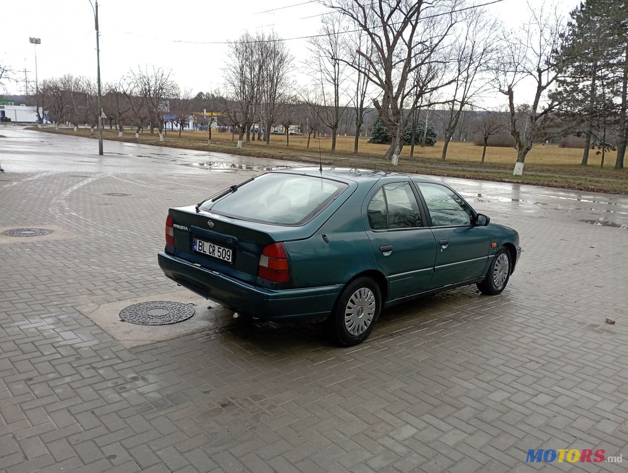 1995' Nissan Primera photo #3