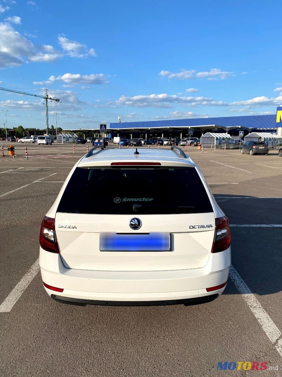 2019' Skoda Octavia photo #4