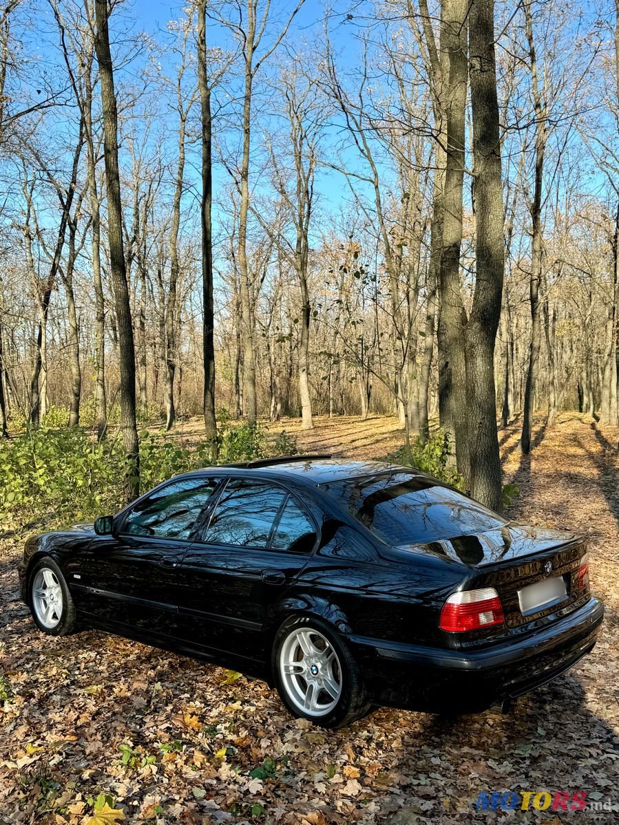 2001' BMW 5 Series photo #6