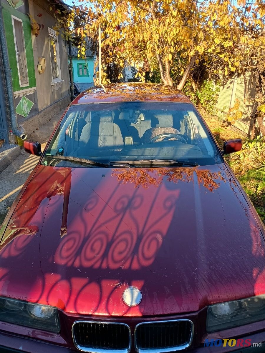 1996' BMW 3 Series photo #2