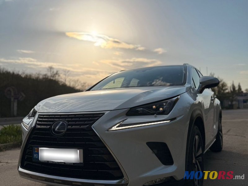 2020' Lexus Nx Series photo #2