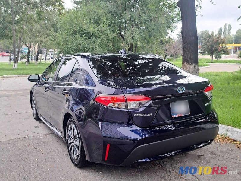 2020' Toyota Corolla photo #2