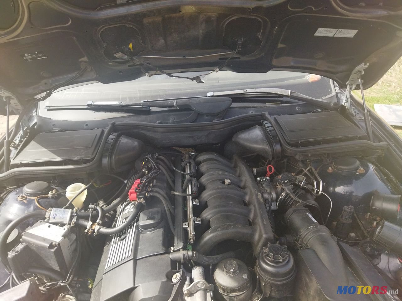 1997' BMW 5 Series photo #3