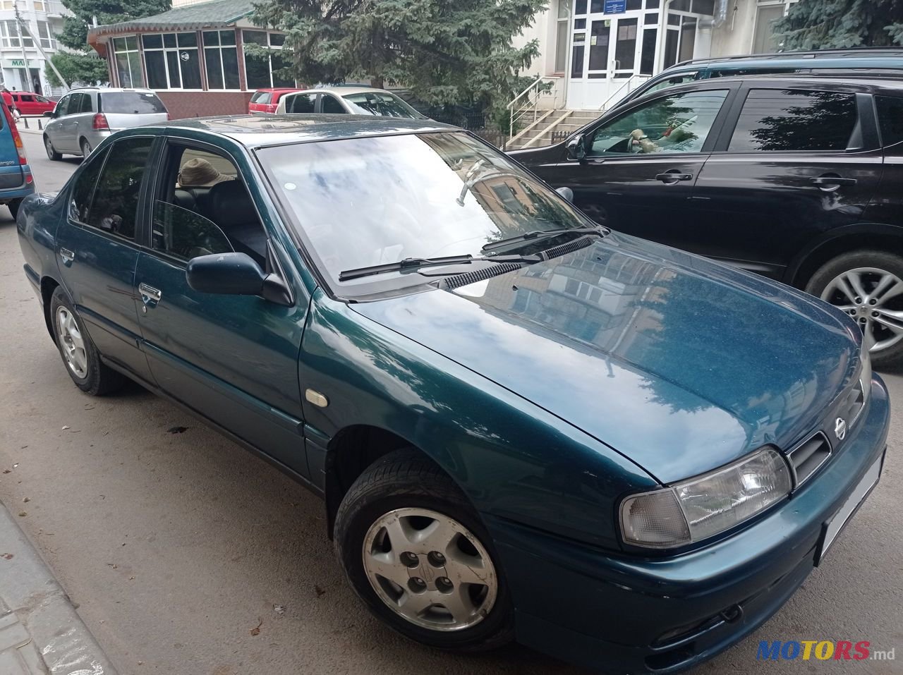 1995' Nissan Primera photo #4