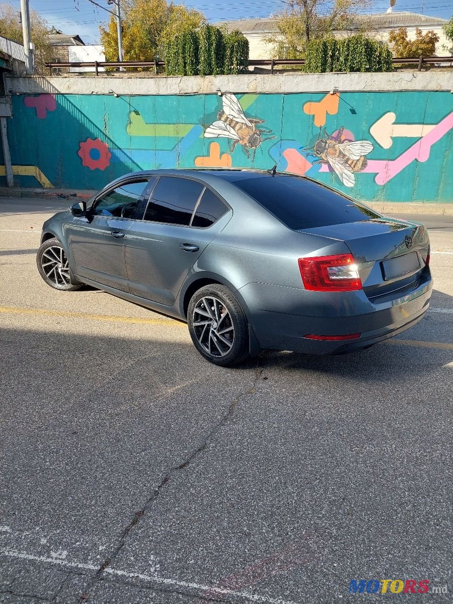 2017' Skoda Octavia photo #4
