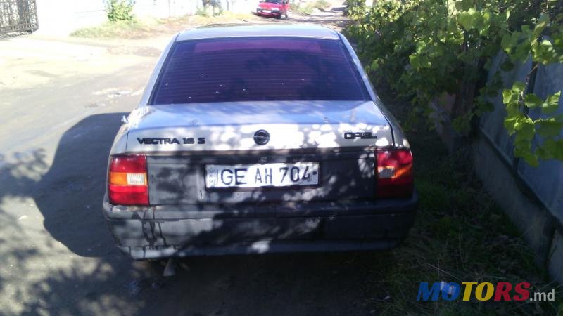 1989' Opel Vectra photo #3