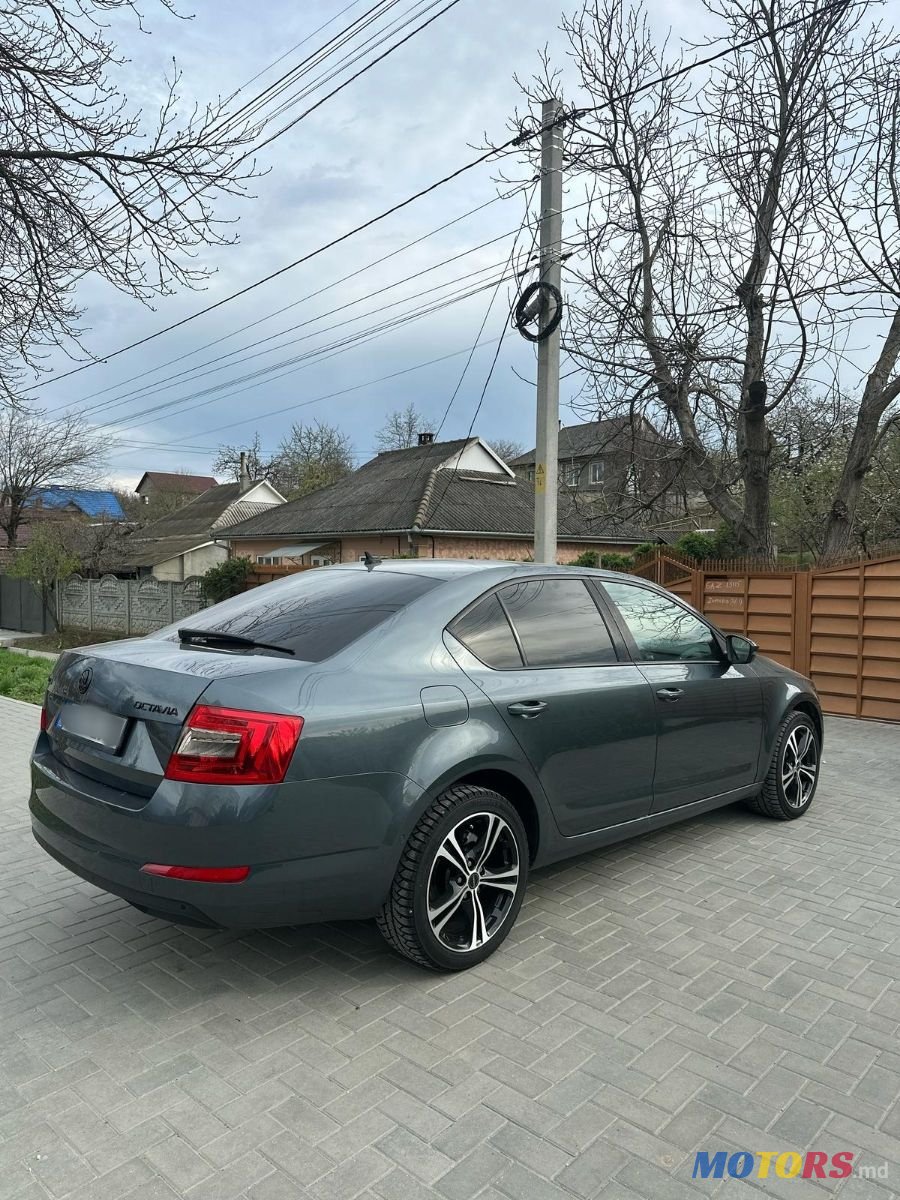 2016' Skoda Octavia photo #5