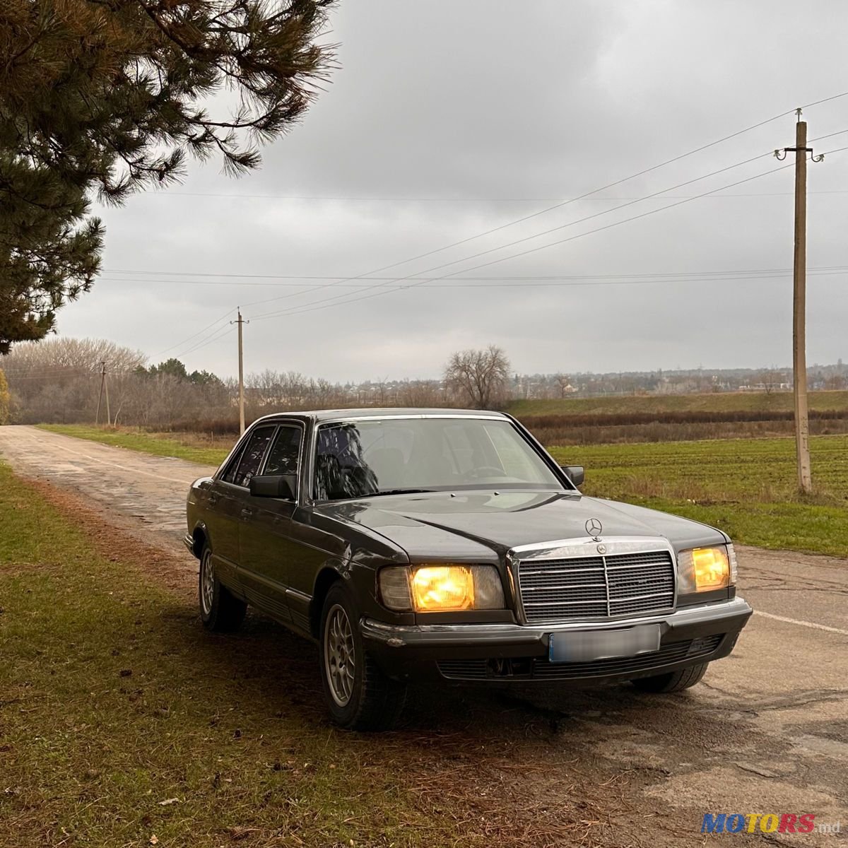 1985' Mercedes-Benz S-Class photo #1