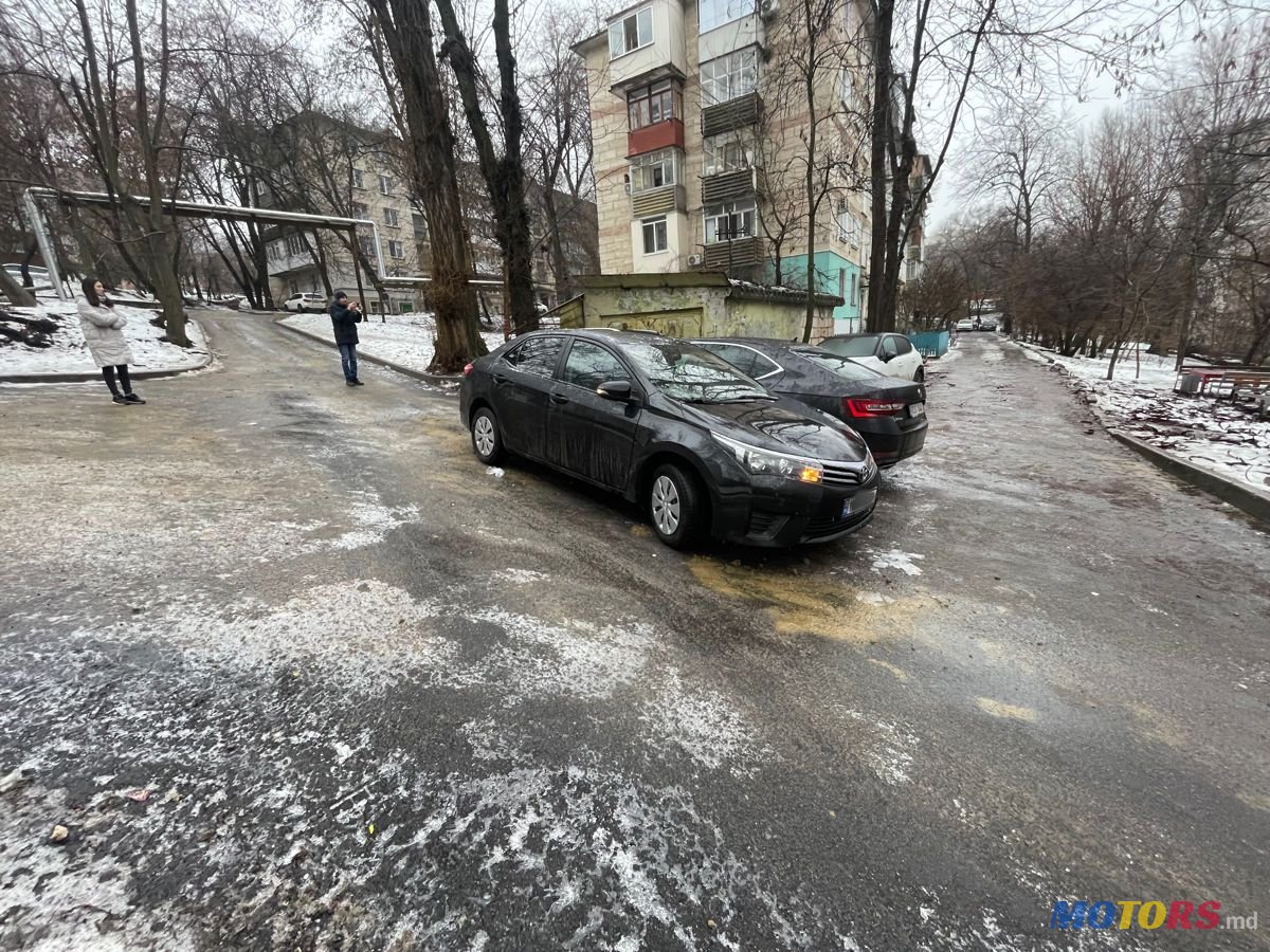 2013' Toyota Corolla photo #2