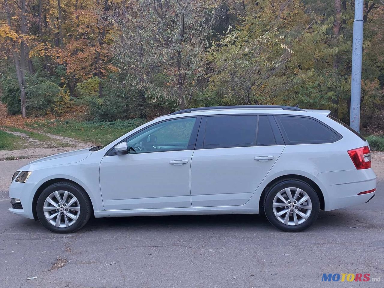 2017' Skoda Octavia photo #6