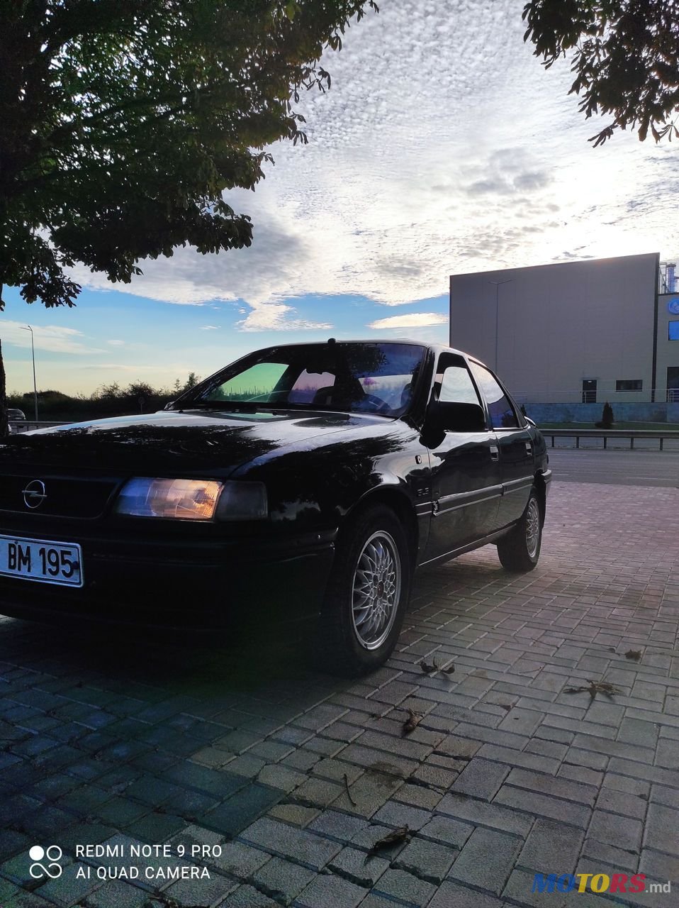 1995' Opel Vectra photo #1