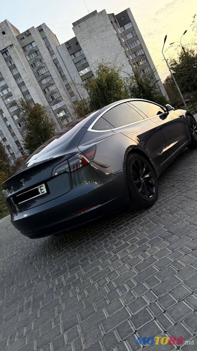 2019' Tesla Model 3 photo #2