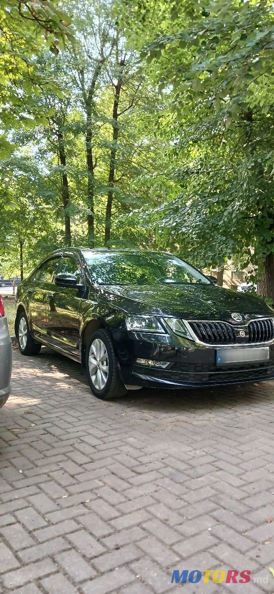 2019' Skoda Octavia photo #1