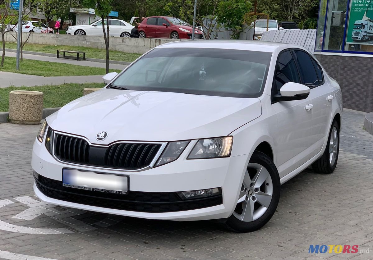 2017' Skoda Octavia photo #2