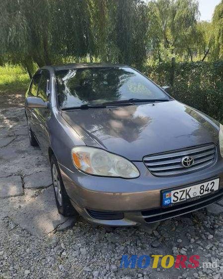2004' Toyota Corolla photo #1