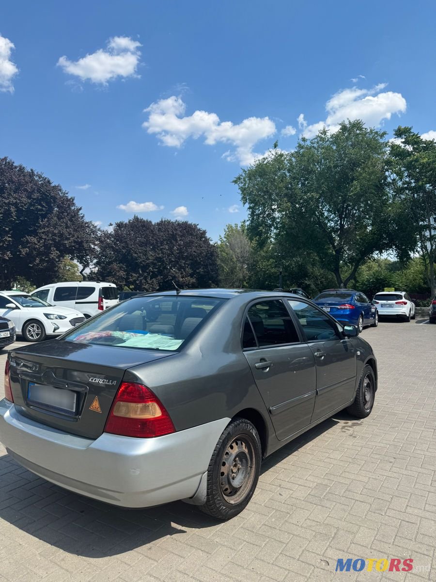 2003' Toyota Corolla photo #4