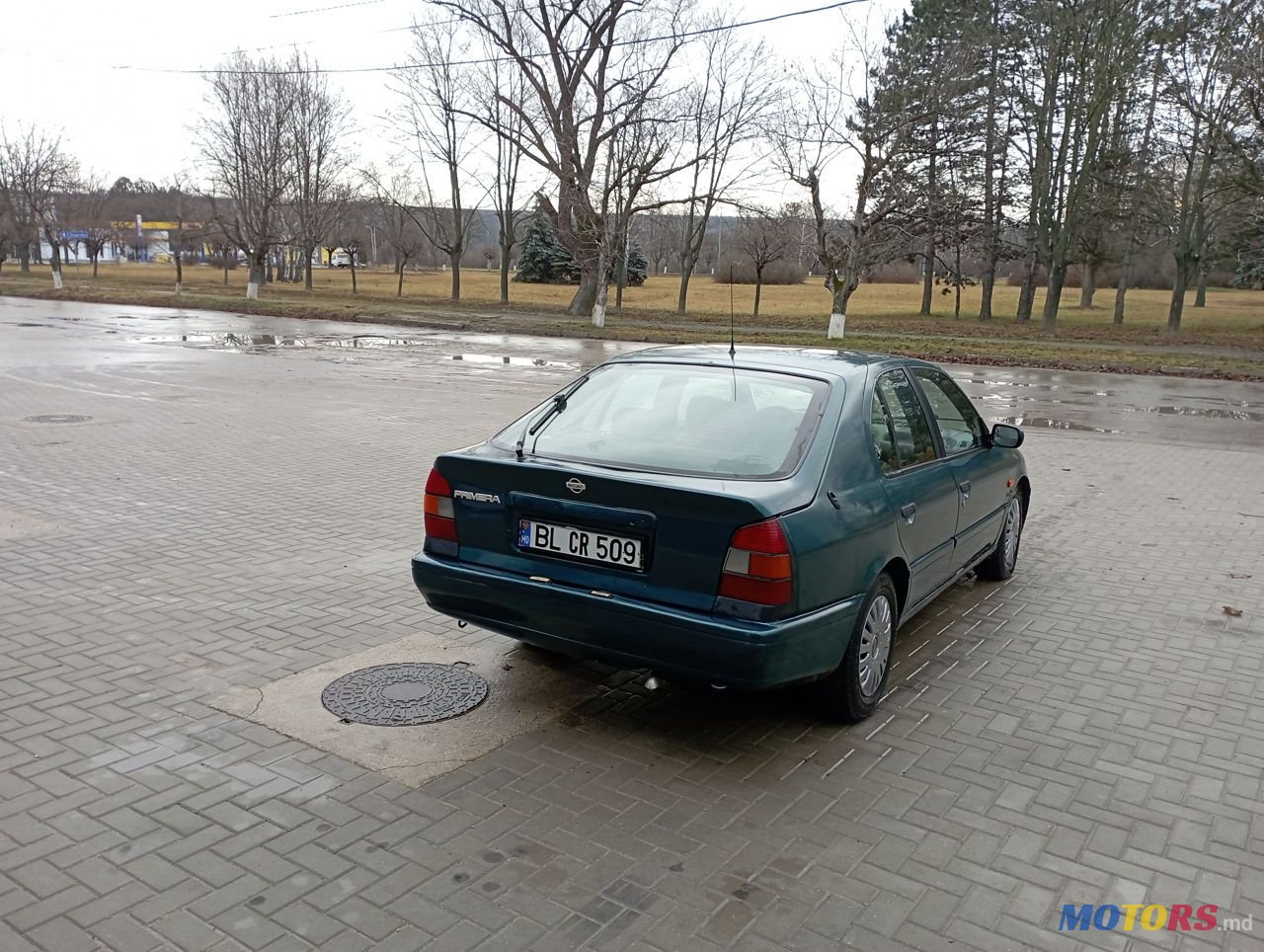 1995' Nissan Primera photo #5