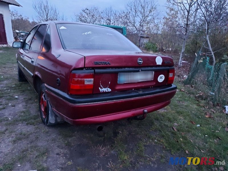 1994' Opel Vectra photo #3