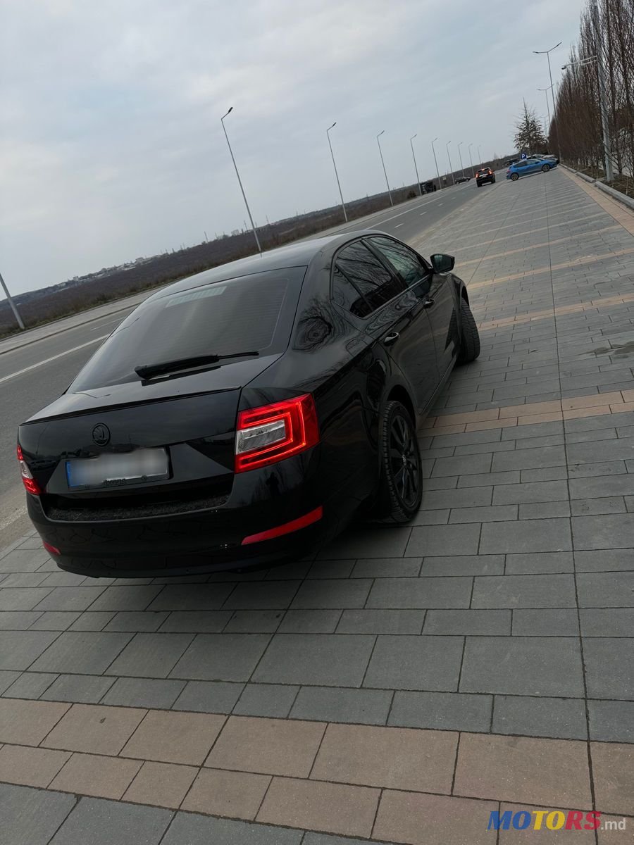 2014' Skoda Octavia photo #5
