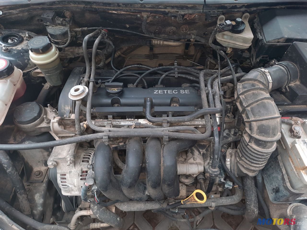 2001' Ford Focus photo #2