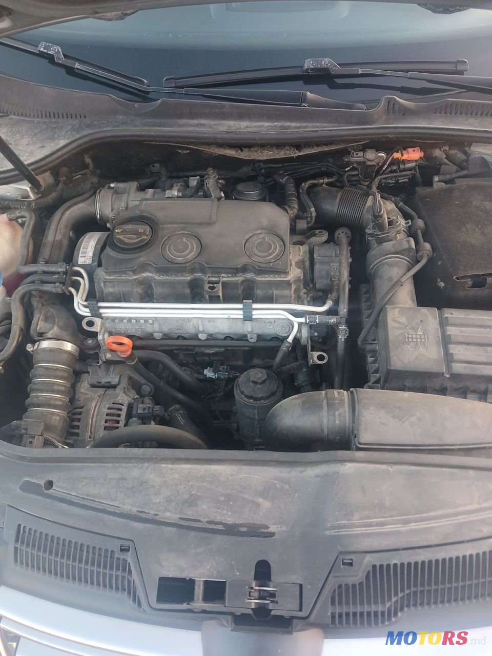 2008' Volkswagen Golf photo #5