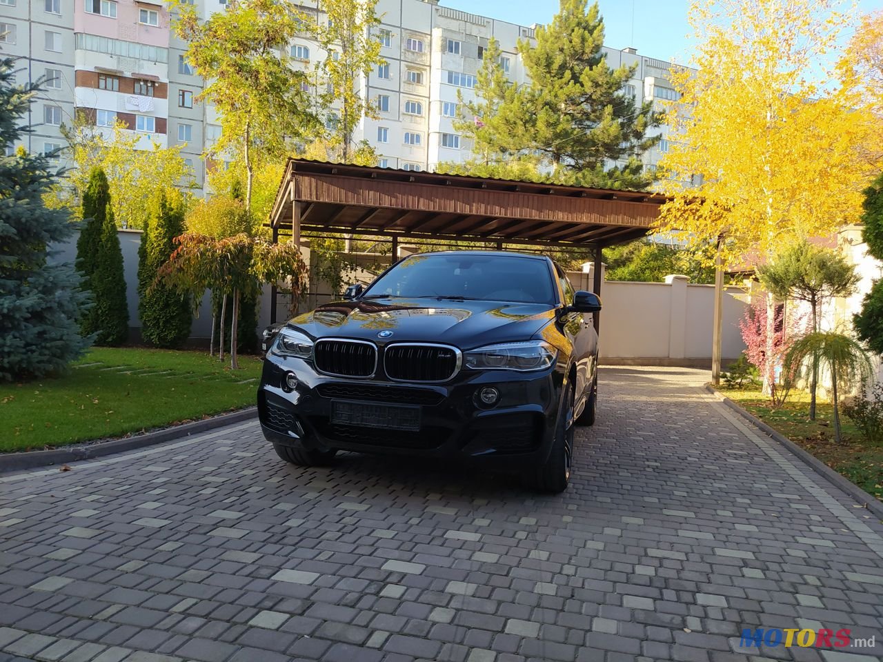 2019' BMW X6 photo #3